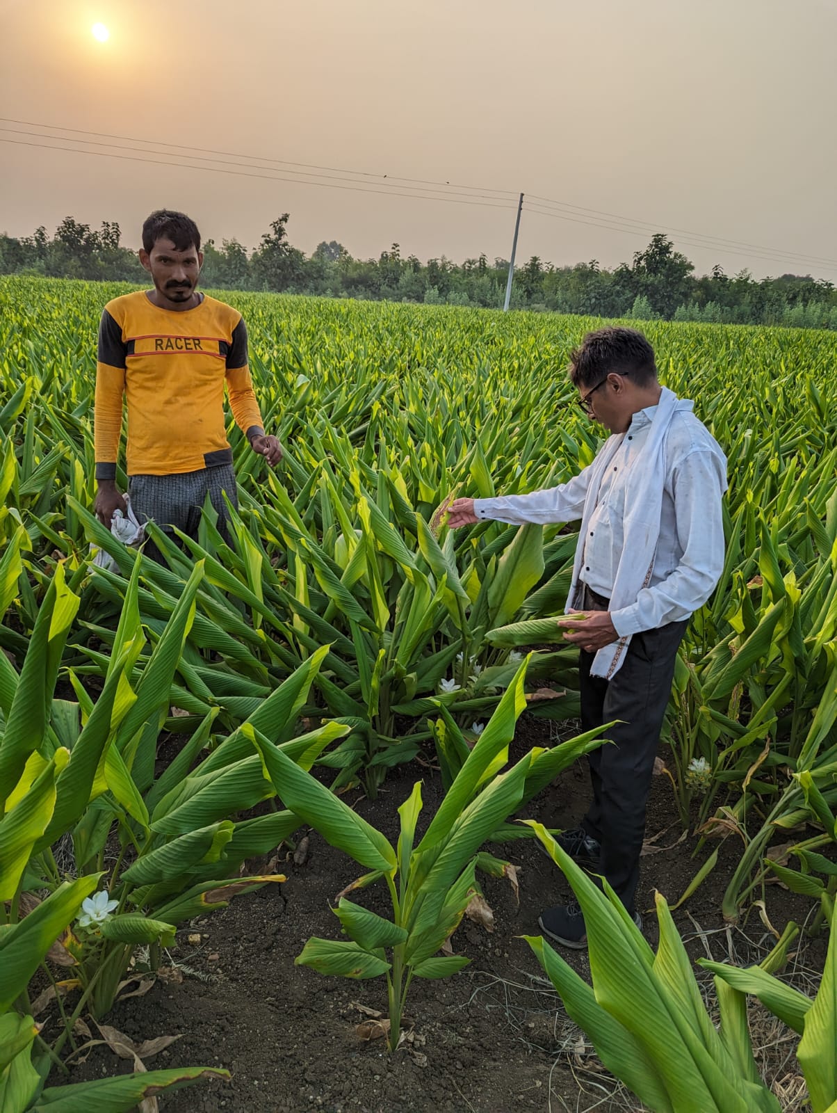 Agriculture Worker